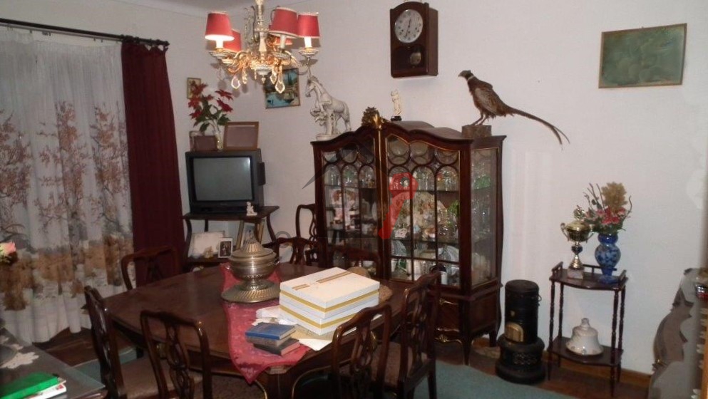Ver galeria
